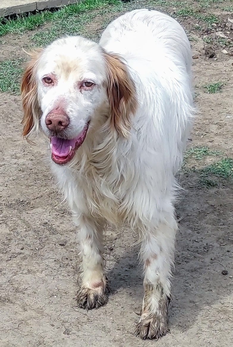 Arlo