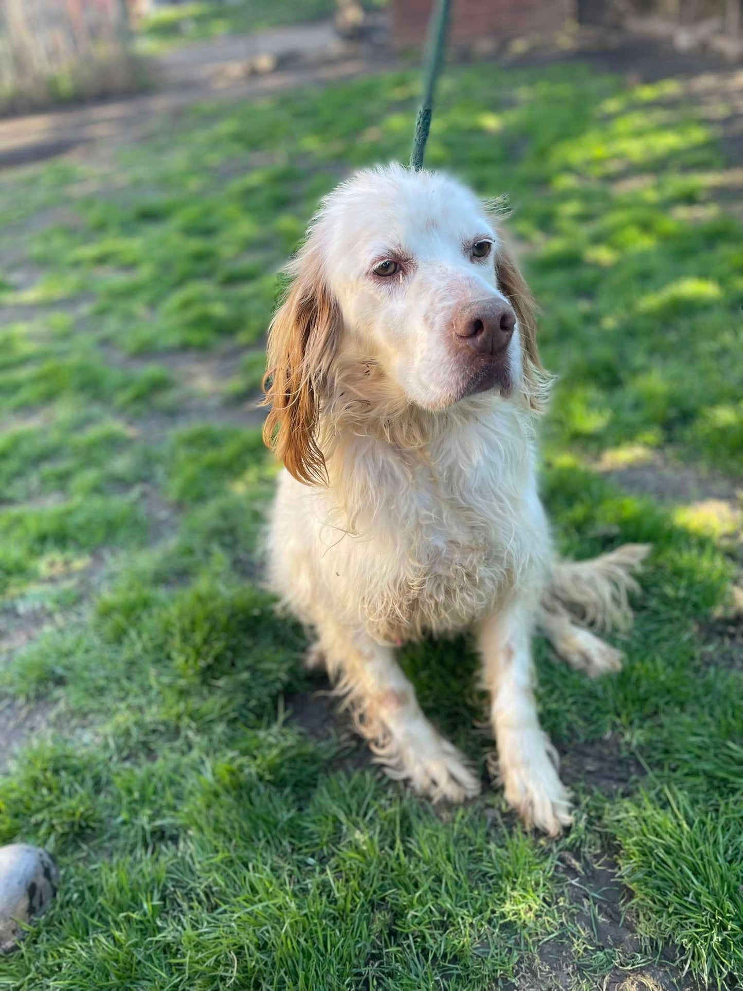 Arlo