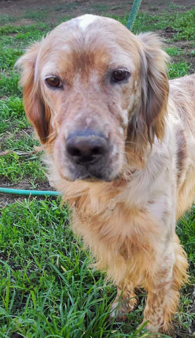 Benson