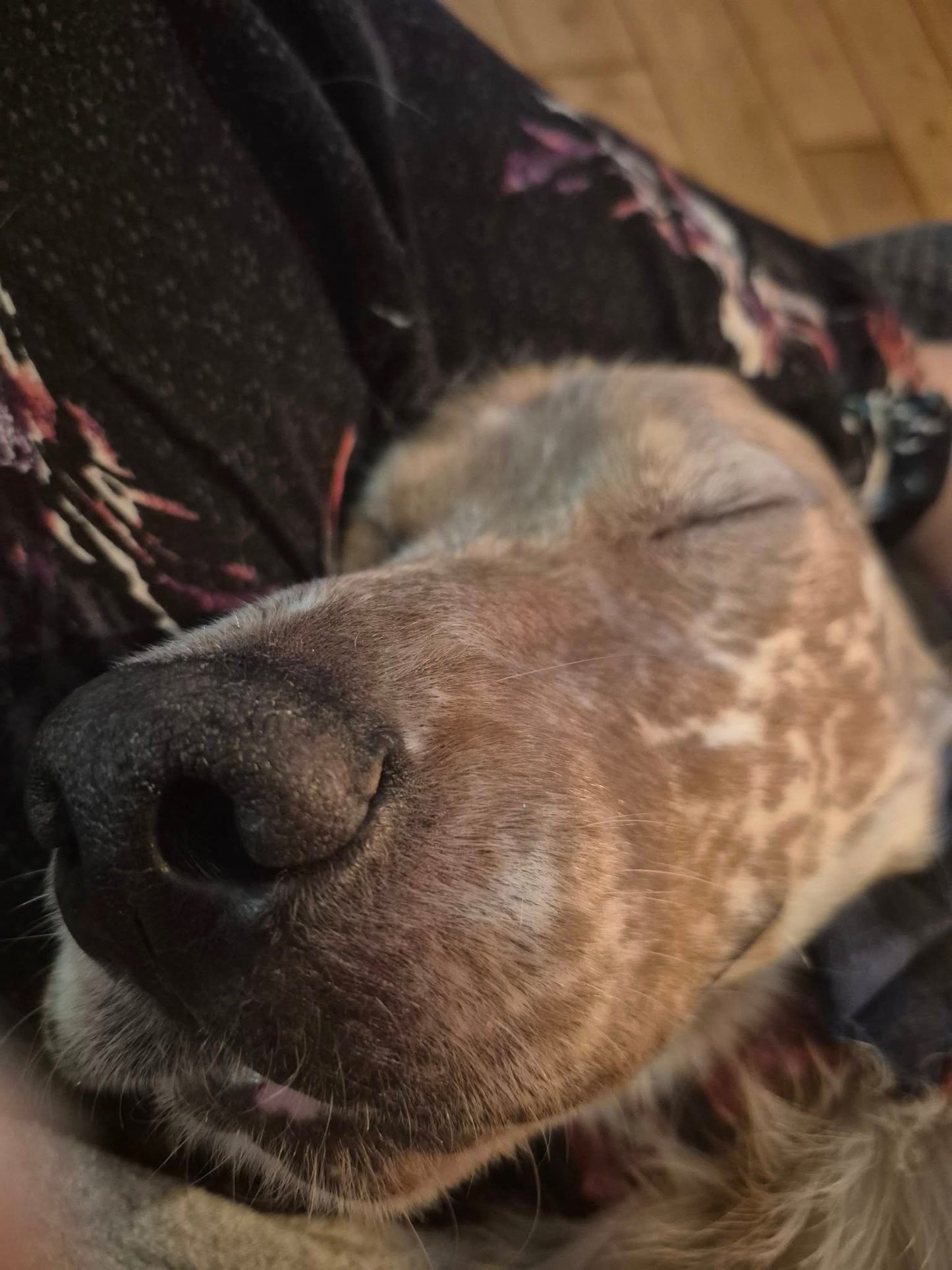 Benson