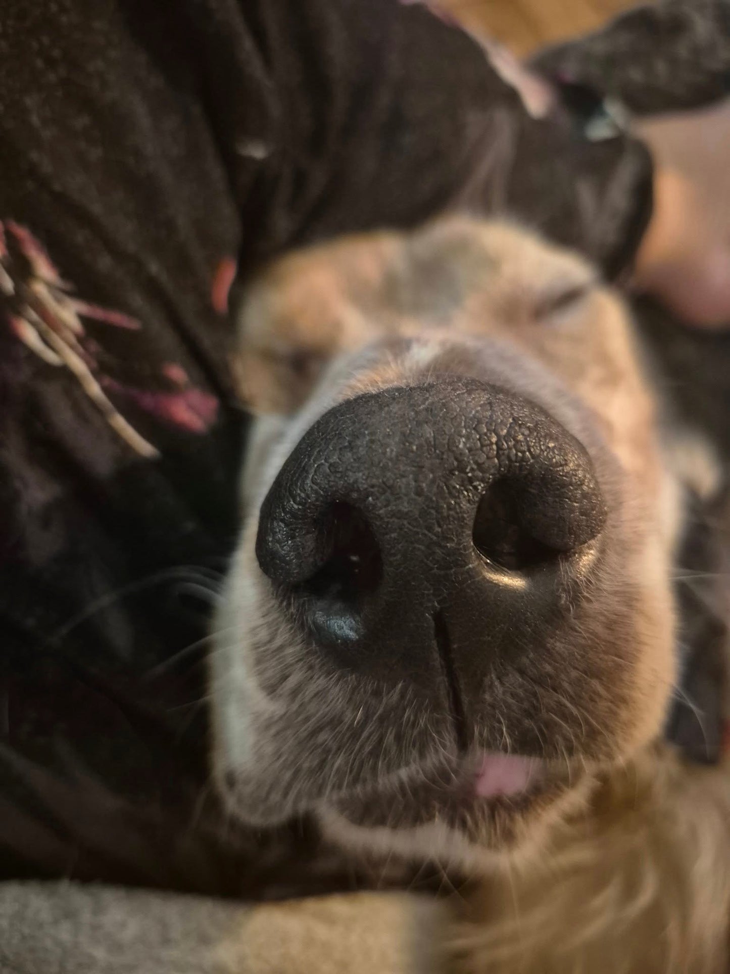 Benson