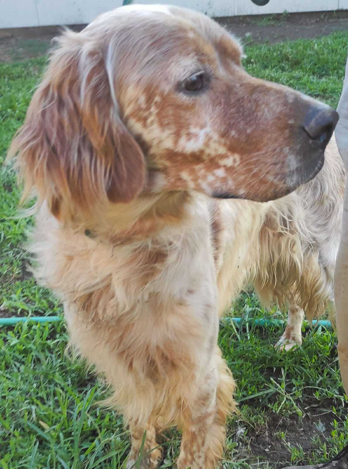 Benson