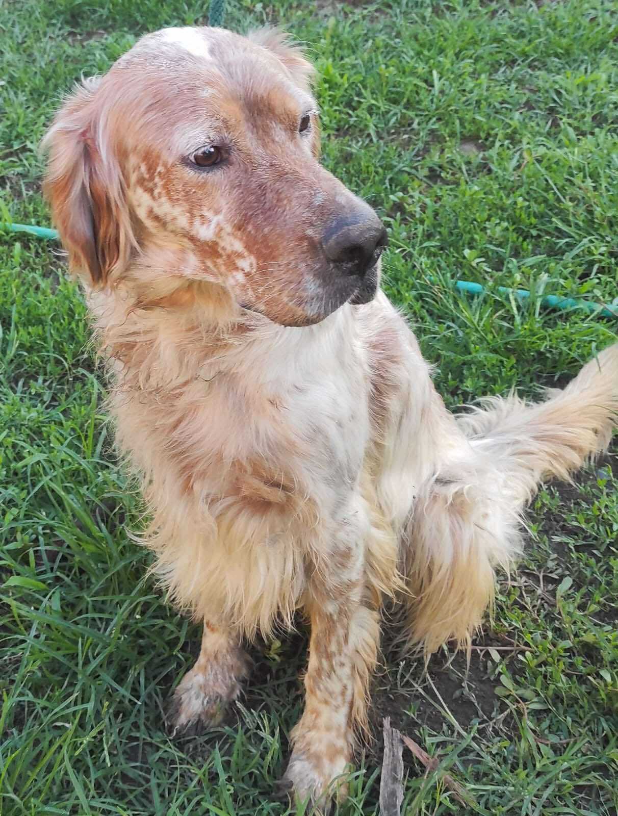 Benson