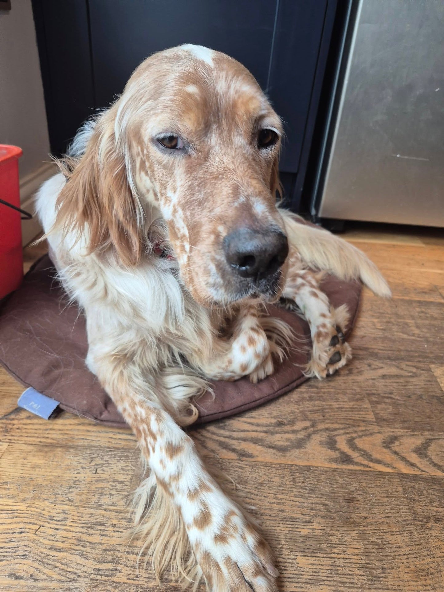 Benson