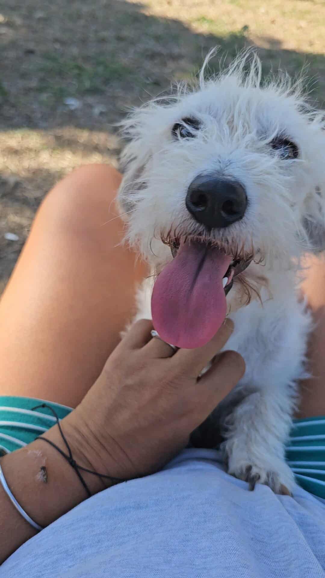 Casper