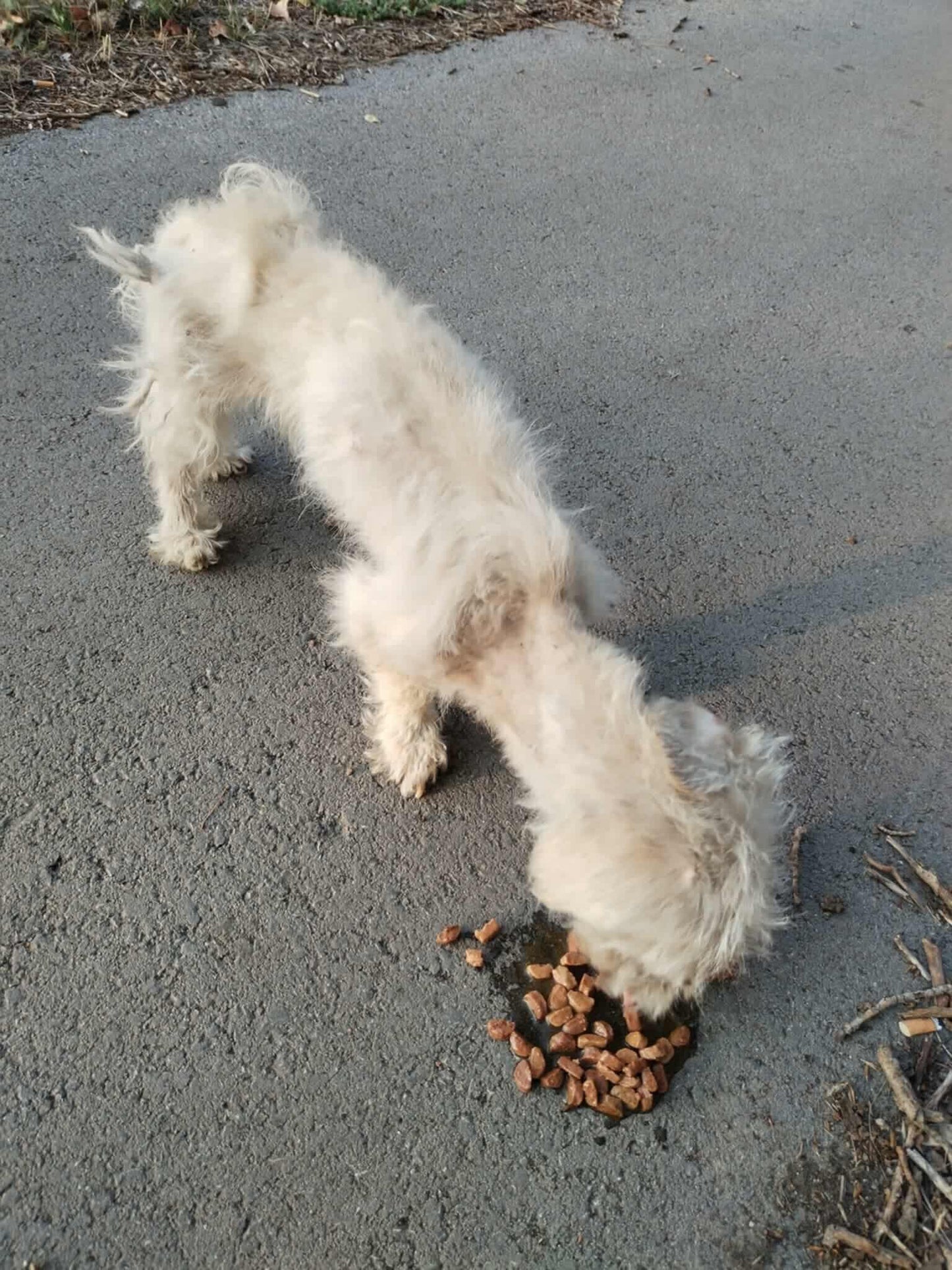 Casper