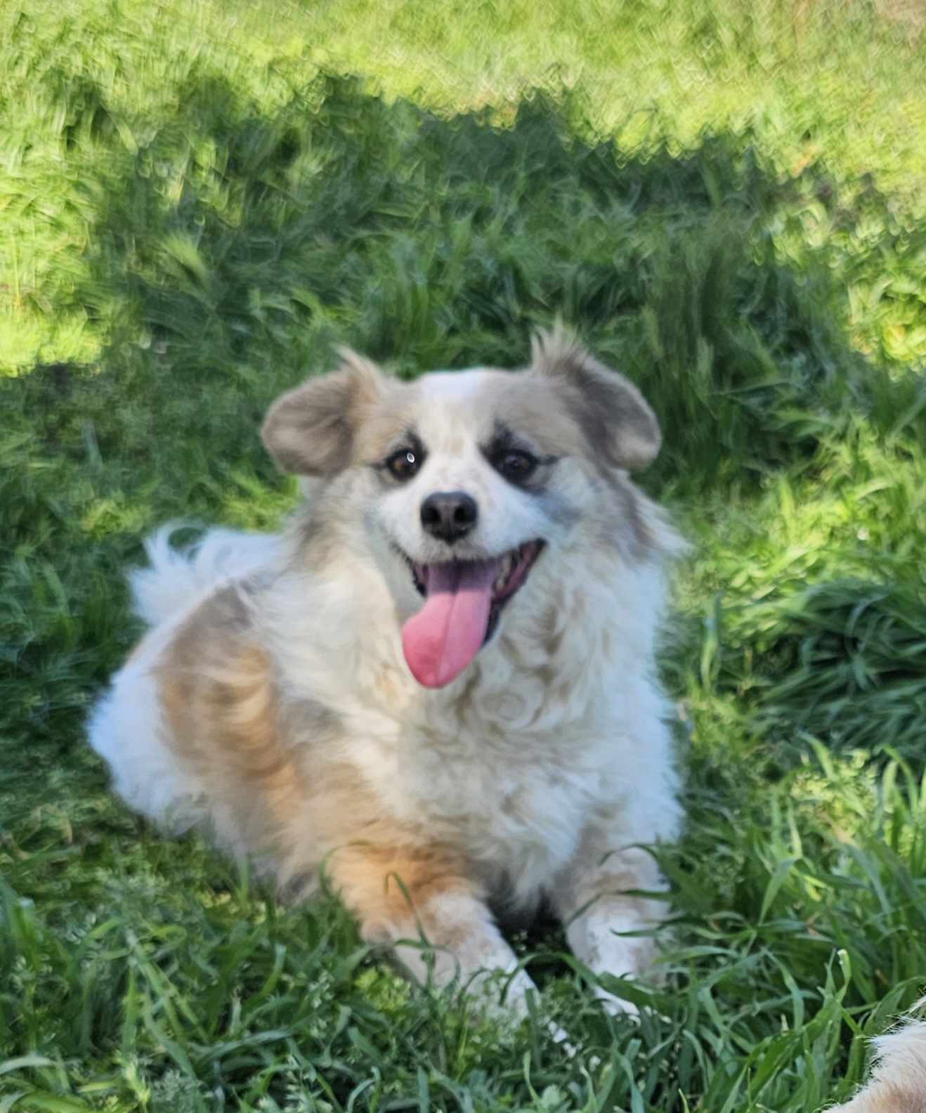Dora