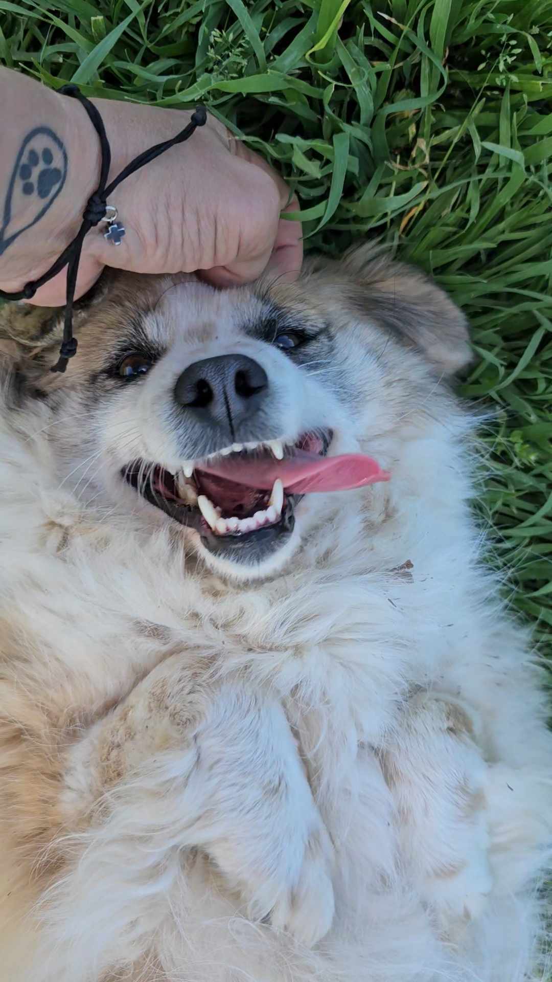 Dora