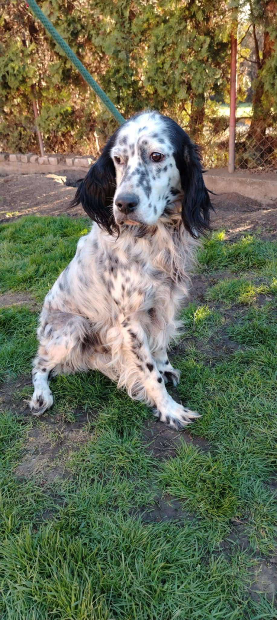 Ellie