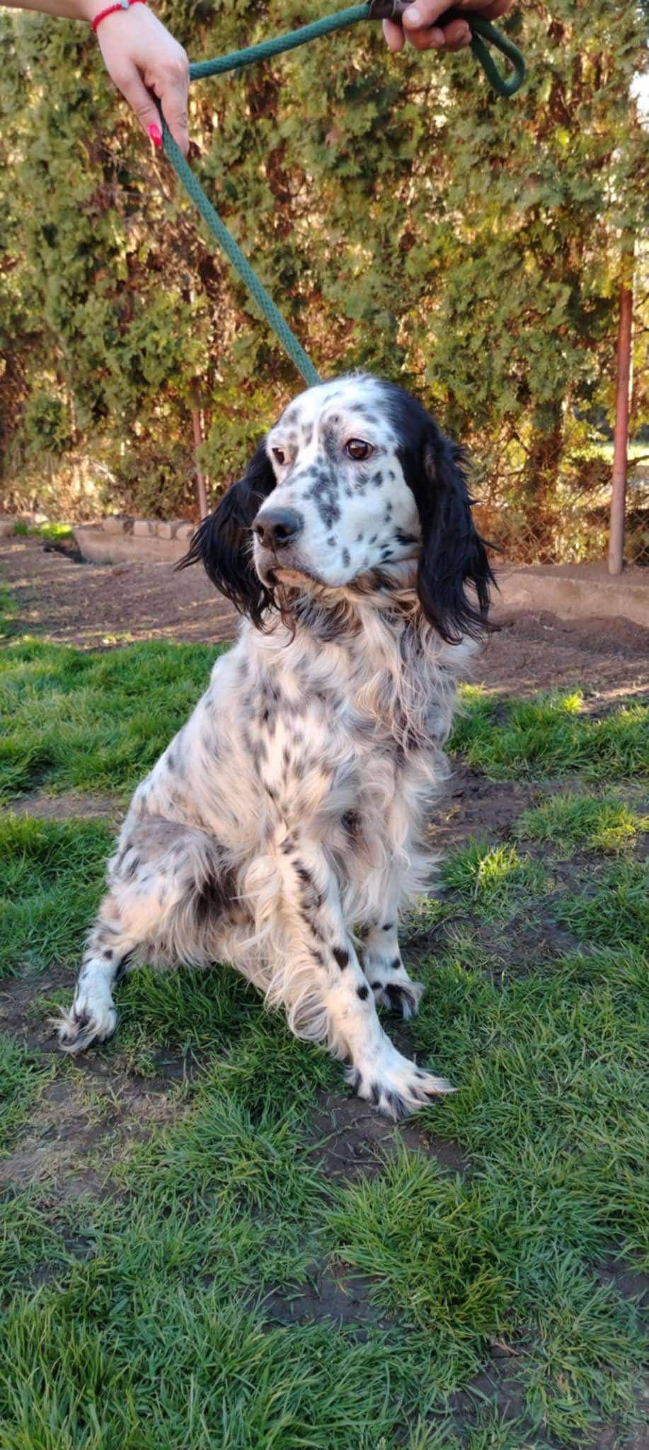 Ellie