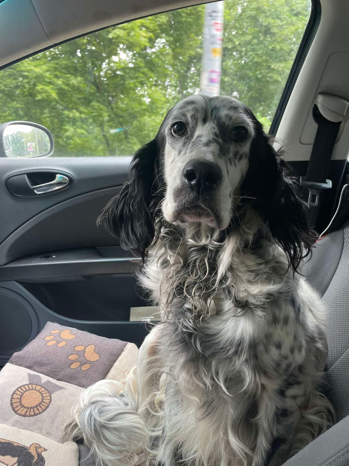 Ellie