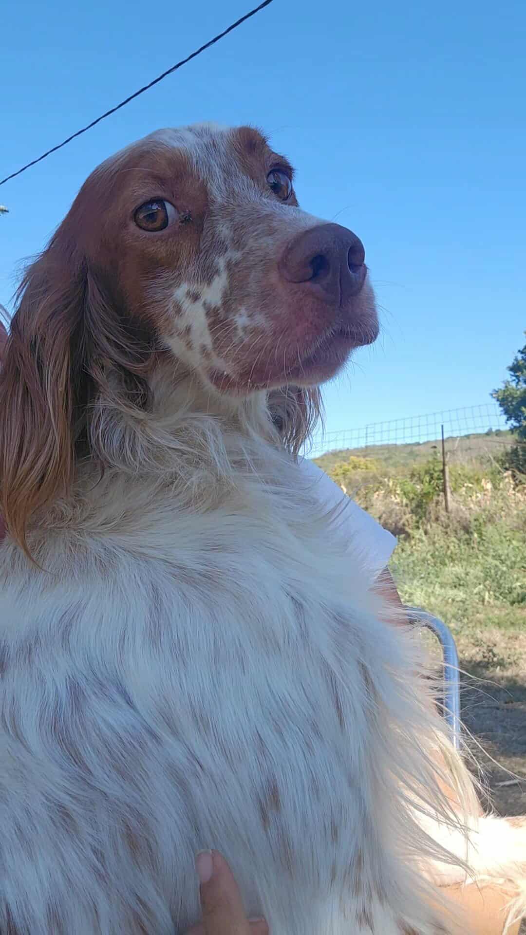 Evan