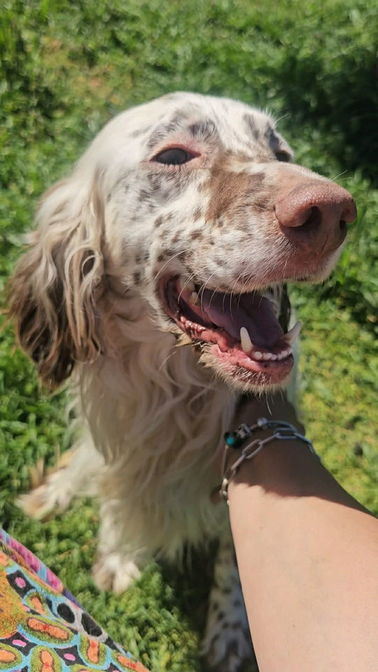 Franco