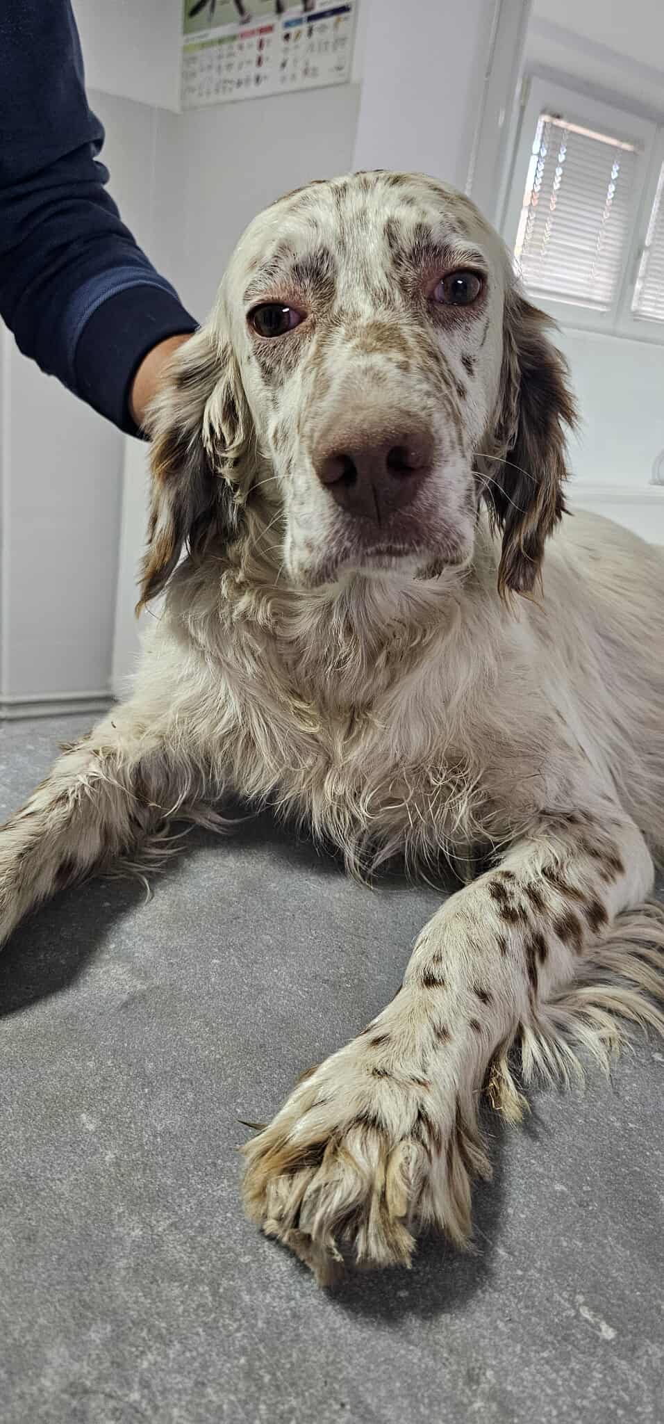 Franco