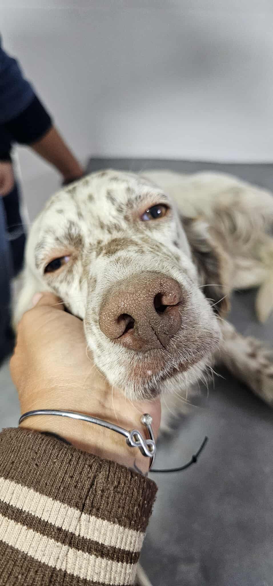 Franco