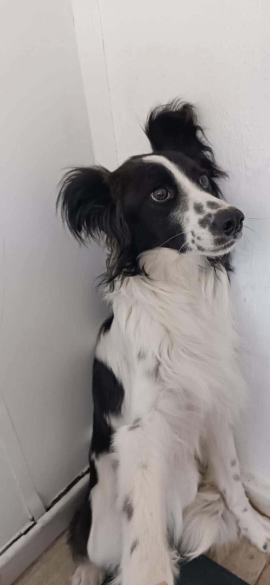 Lena