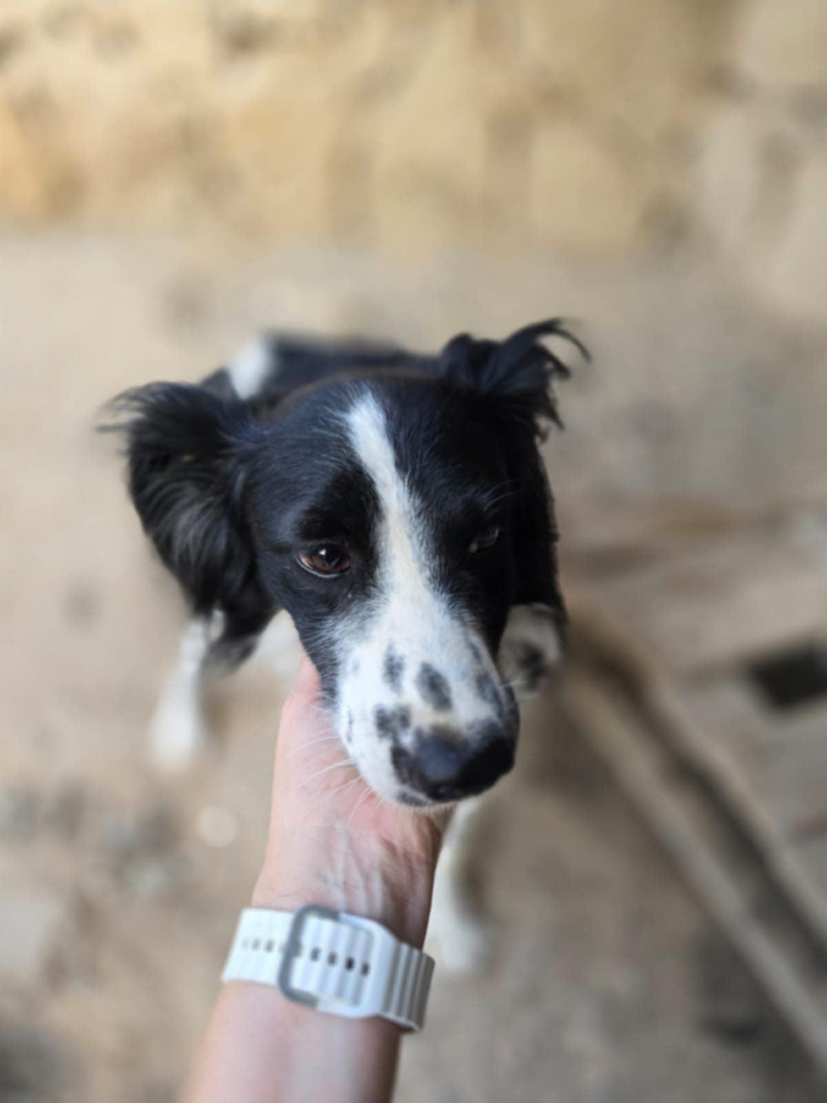 Lena