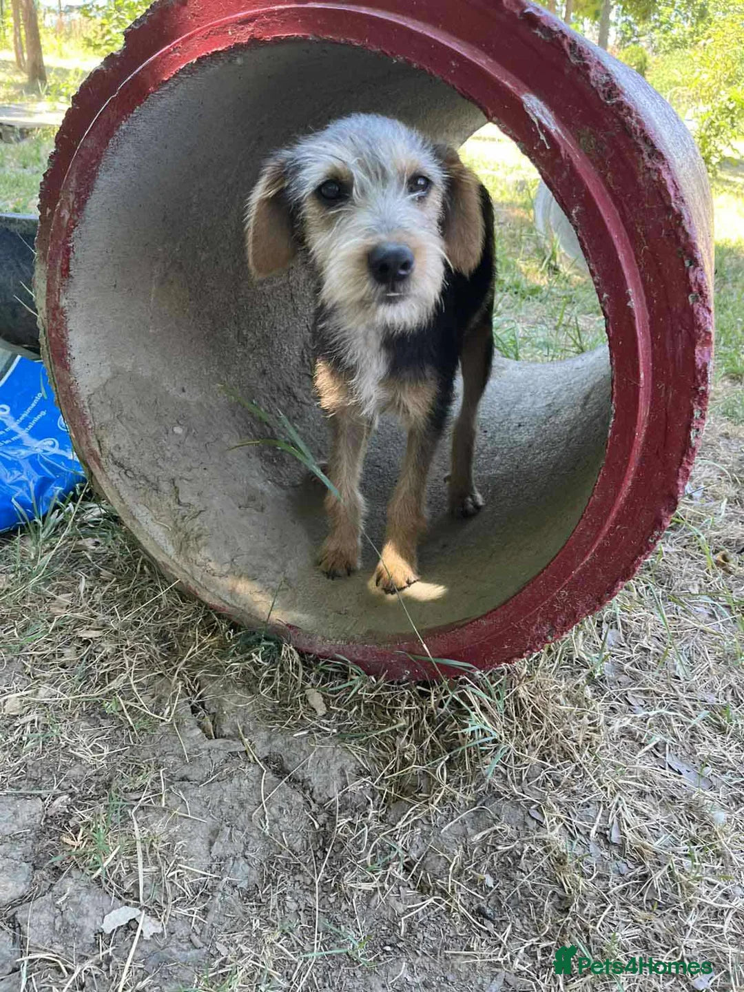Lena