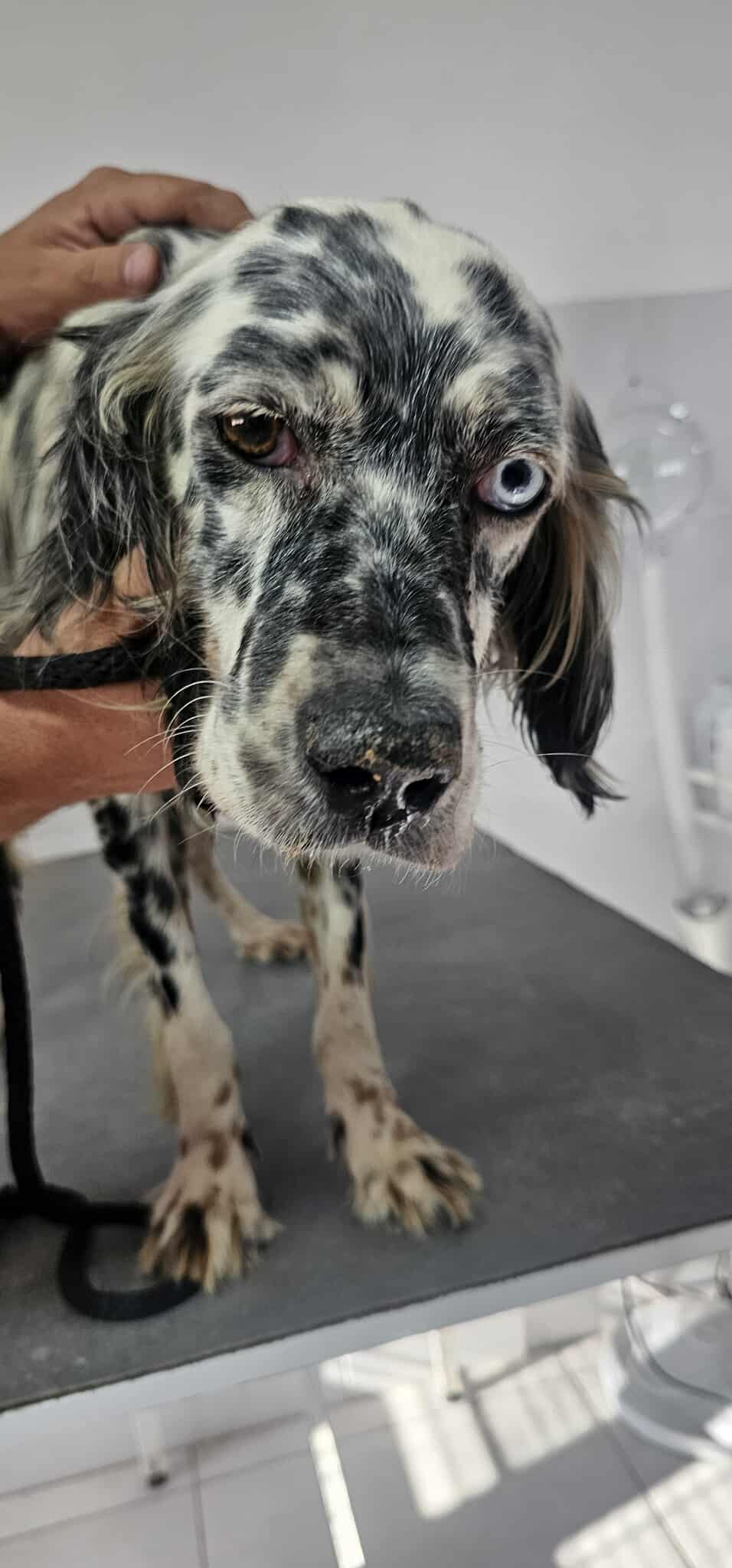 Lola