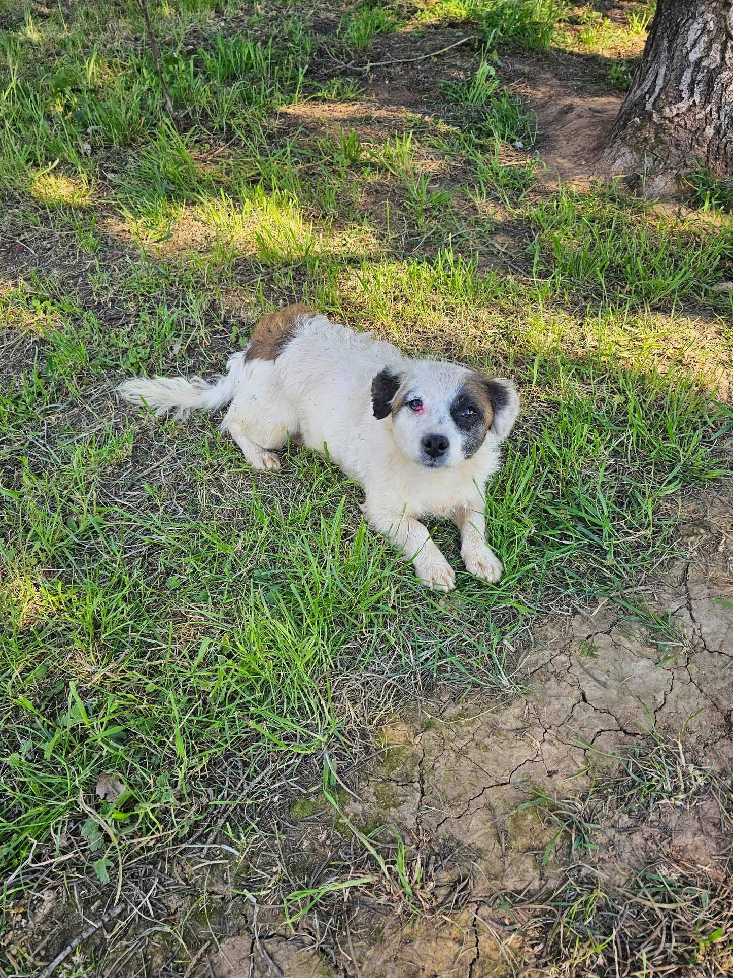 Matilda