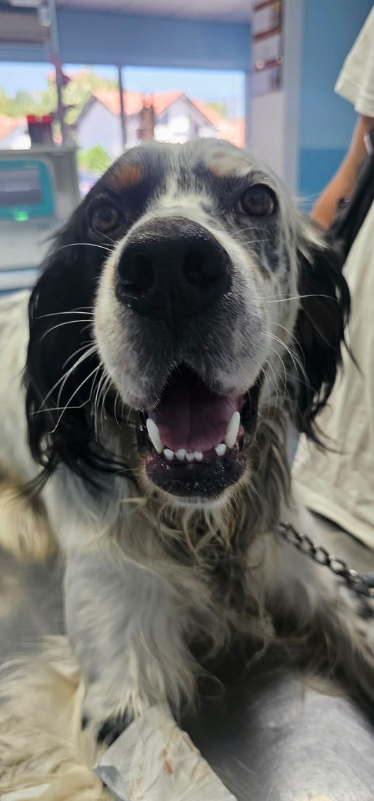 Oskar