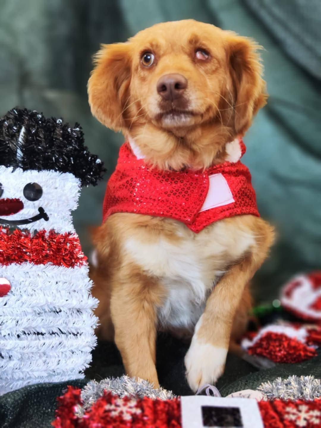 Peanut