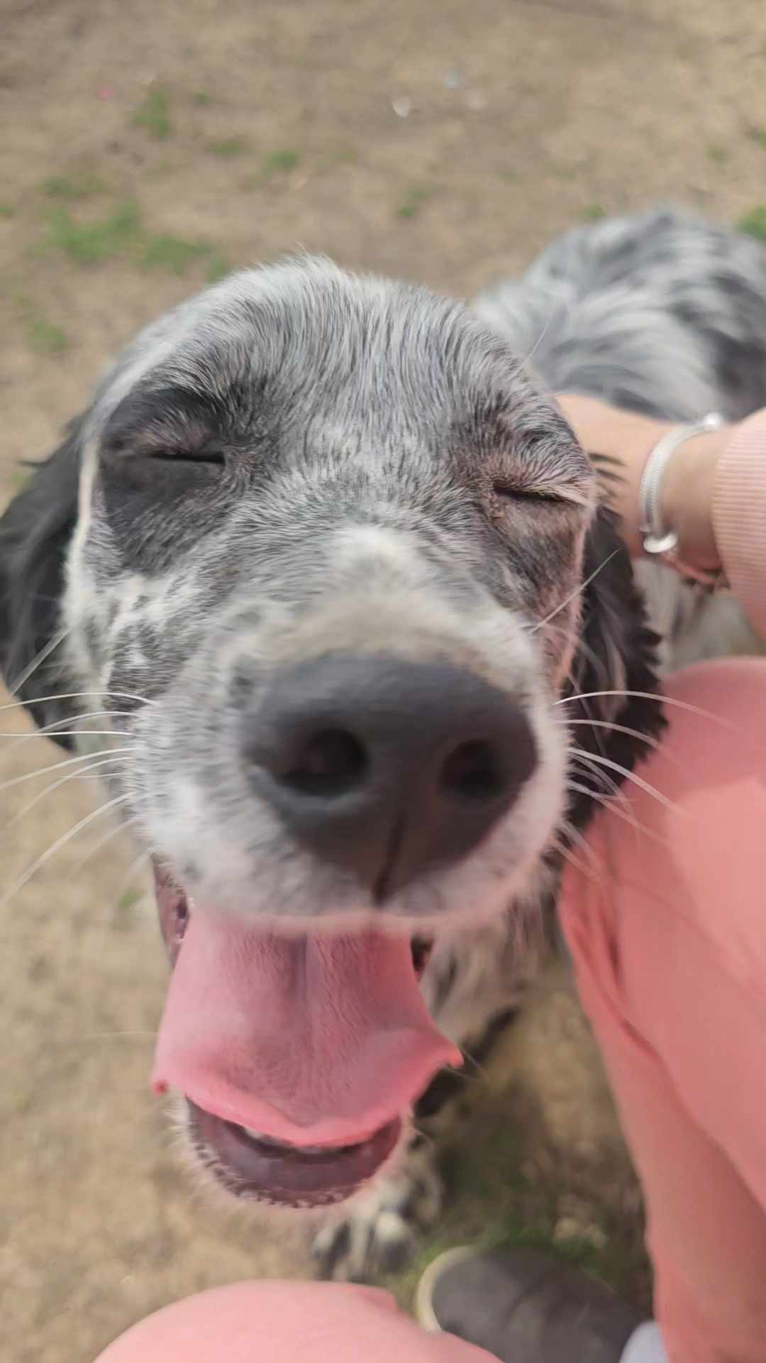 Rasti