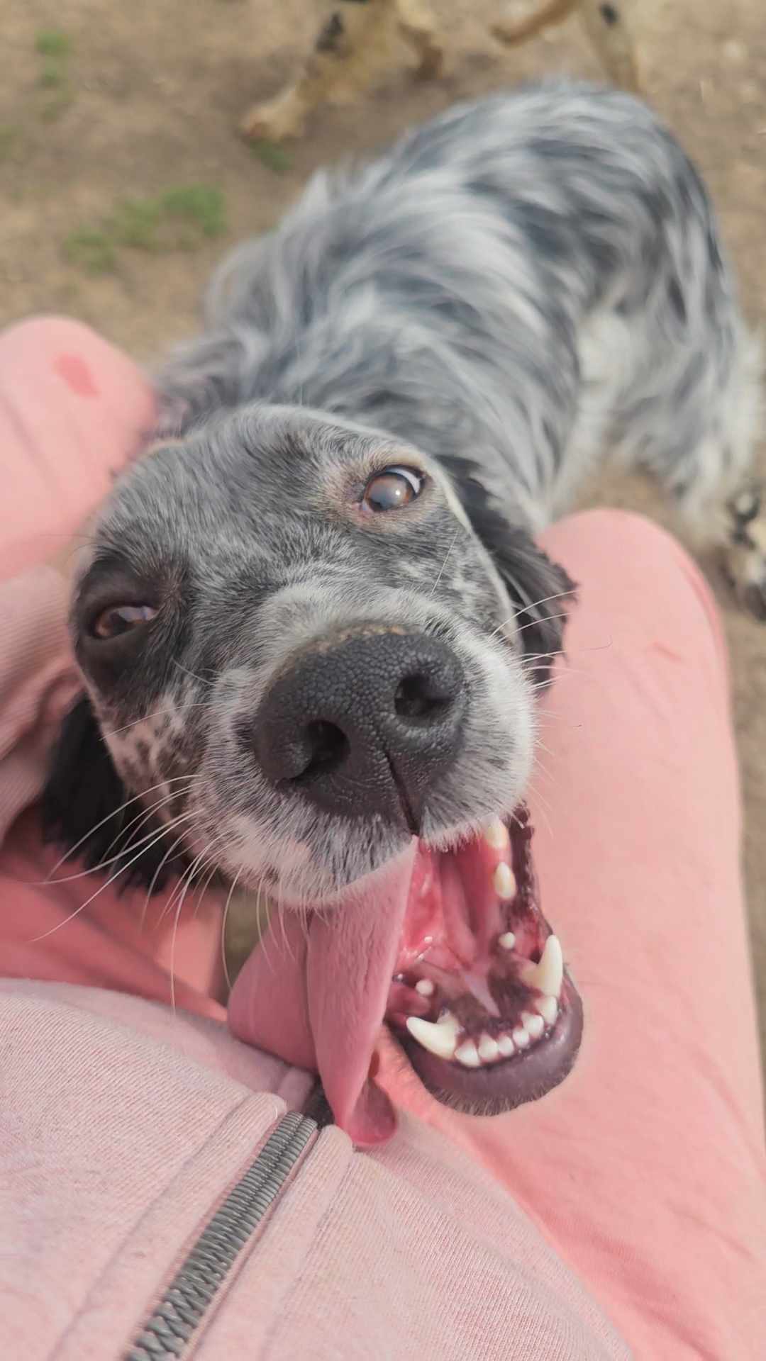 Rasti