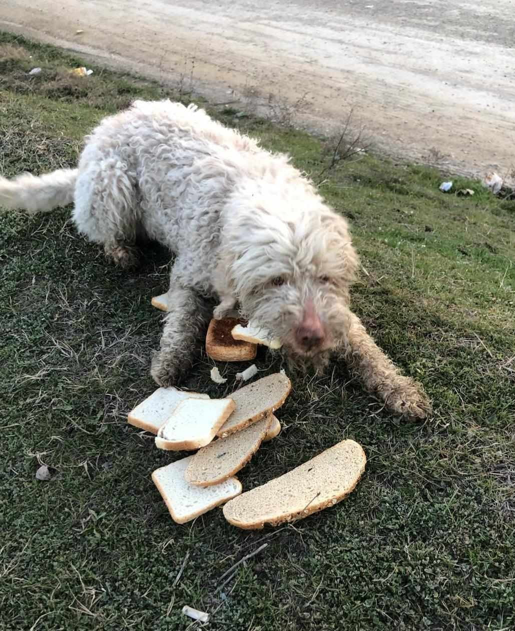 Sam