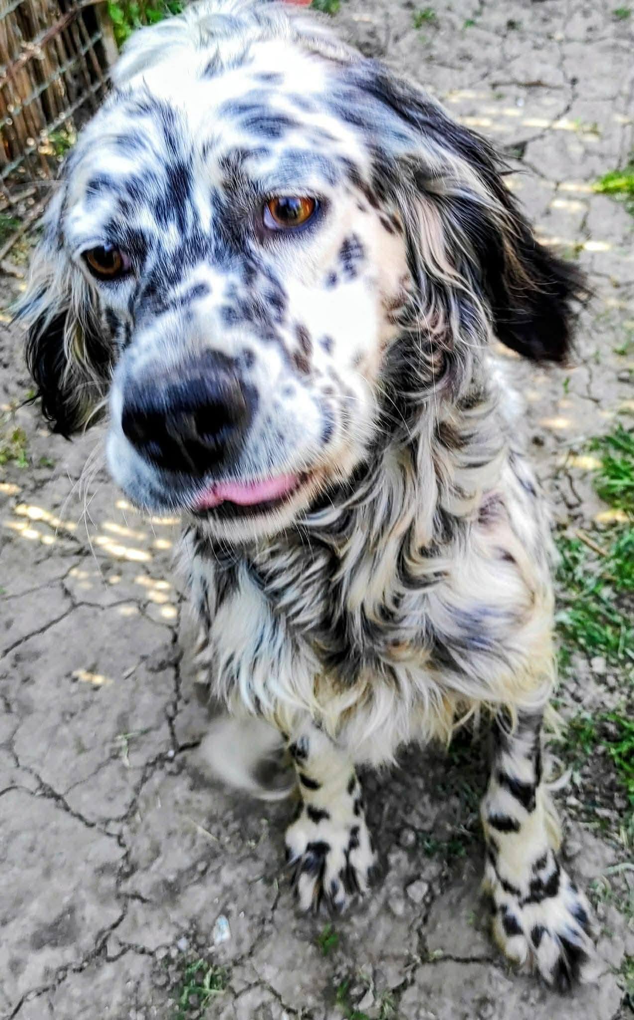 Ayla