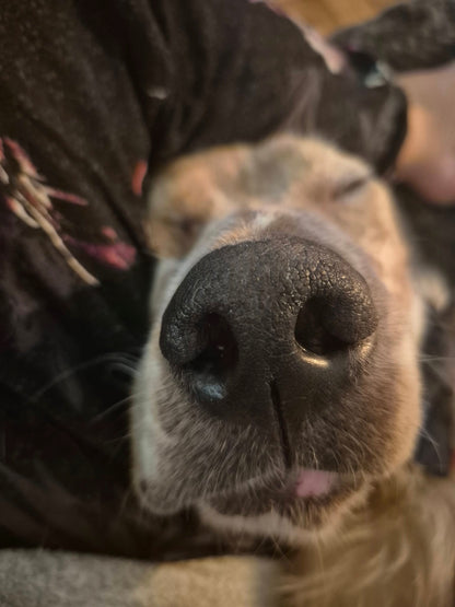 Benson
