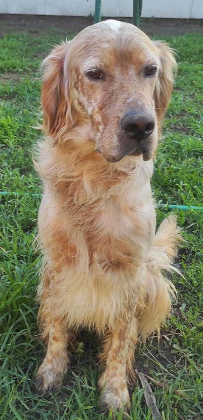 Benson