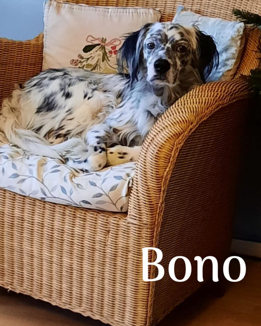 Bono