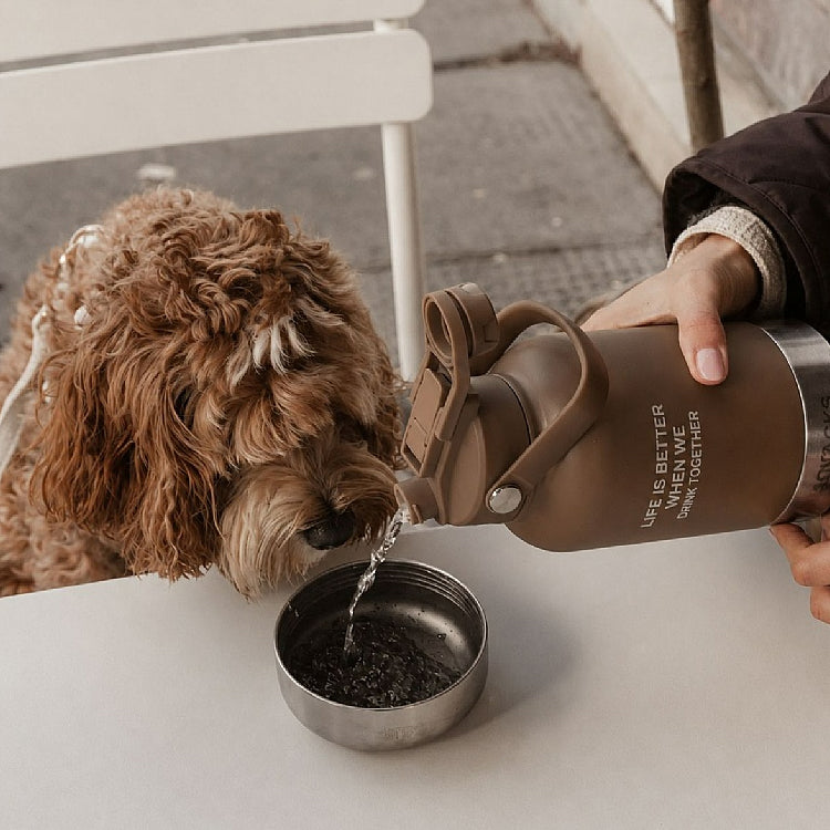 The Bowl Bottle 2.0 - 3-in-1 Dog Travel Water Bottle with Bowls