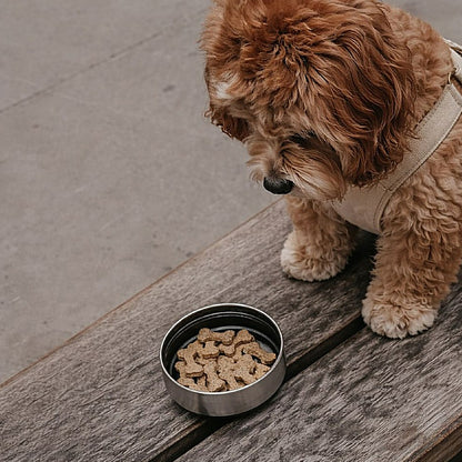 The Bowl Bottle 2.0 - 3-in-1 Dog Travel Water Bottle with Bowls