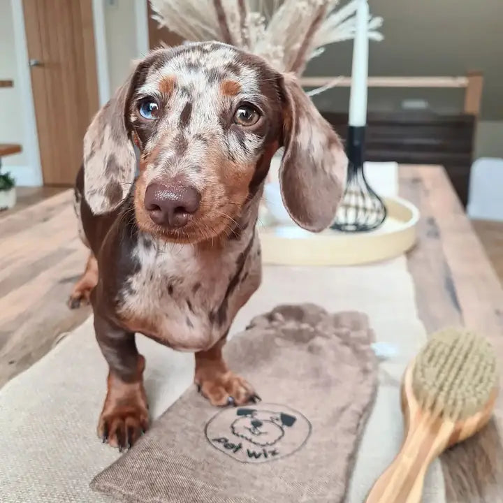 Double-Sided Bamboo Dog Grooming Brush - Pin & Bristle, All Coats
