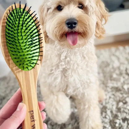 Double-Sided Bamboo Dog Grooming Brush - Pin & Bristle, All Coats