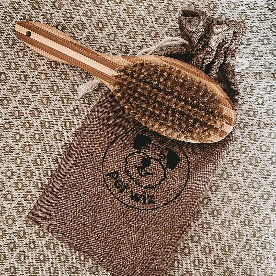 Double-Sided Bamboo Dog Grooming Brush - Pin & Bristle, All Coats