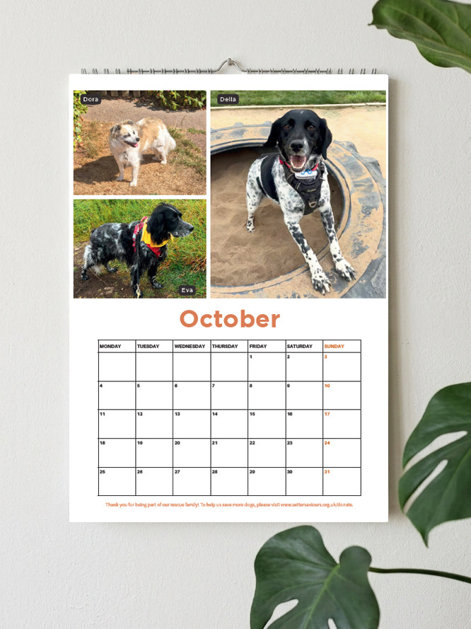 A custom dog-themed monthly calendar page for October hanging on a light gray wall, decorated with green leaves in the corners. The calendar features custom photos of two dogs, labeled Corgi and Dotti, along with a monthly grid at the bottom.
