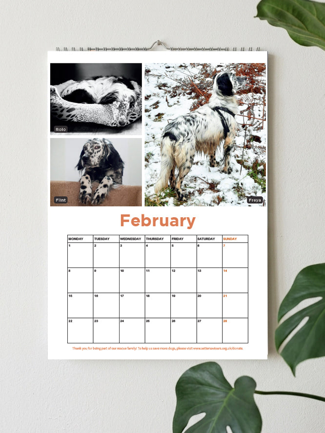 A spiral-bound February wall calendar page featuring three dog photographs at the top and a monthly calendar grid below, hanging on a light wall with green leaves in the foreground.