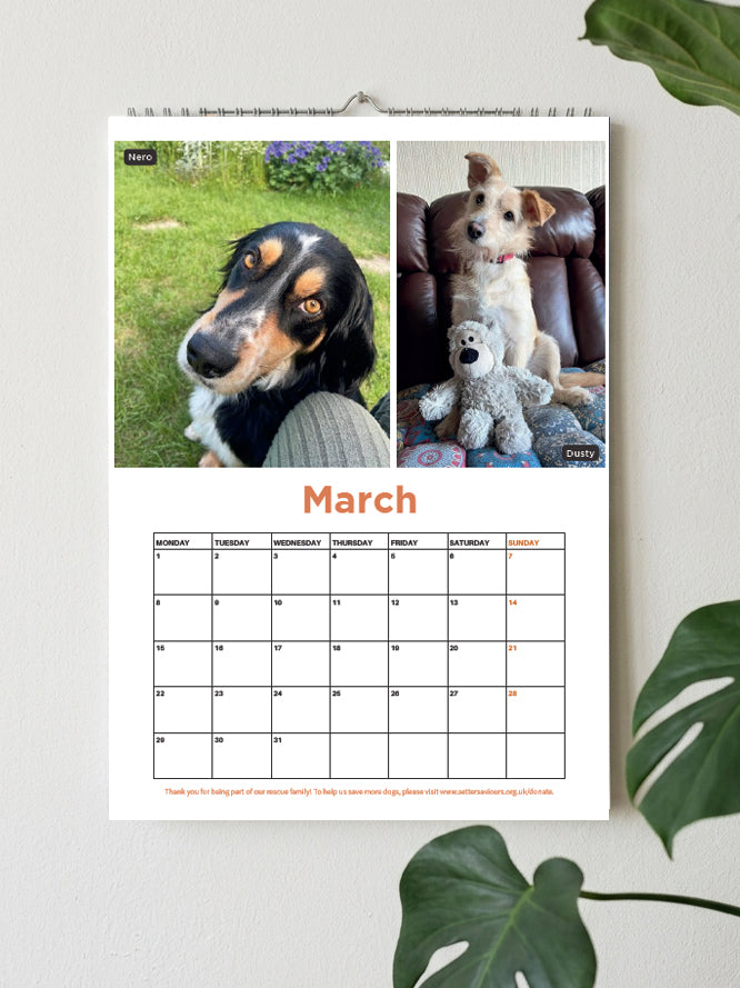 A hanging wall calendar page for March is shown against a light wall, with two dog photos at the top and a monthly grid below. Green plant leaves frame the corners of the scene.