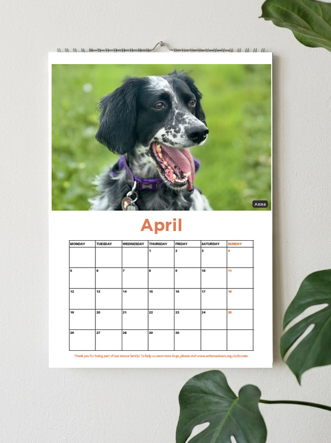 A spiral-bound wall calendar page hanging on a light wall, featuring a black-and-white dog portrait at the top and a April calendar grid below. Green leaves frame the scene on the right and bottom edges.