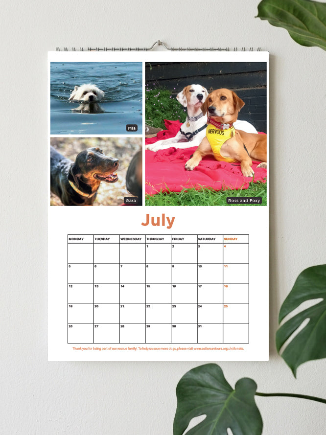 A spiral-bound July calendar page hanging on a light wall, featuring three dog photos at the top and a monthly grid below. The calendar is styled with green plant leaves in the corners.