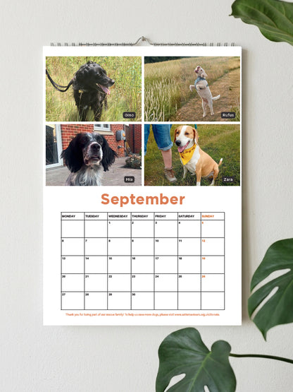 A spiral-bound September wall calendar hanging on a light wall, featuring four dog photos at the top and a monthly grid below. The calendar is styled with green plant leaves in the corners.