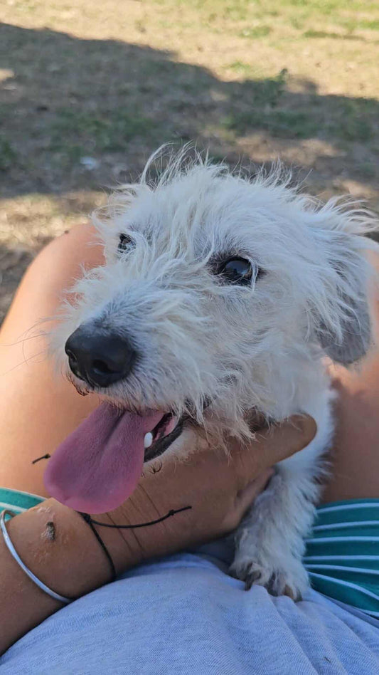 Casper