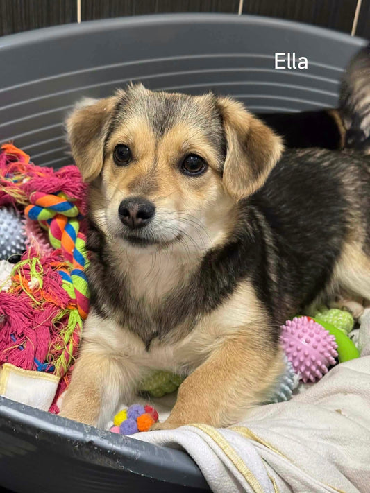 Ella
