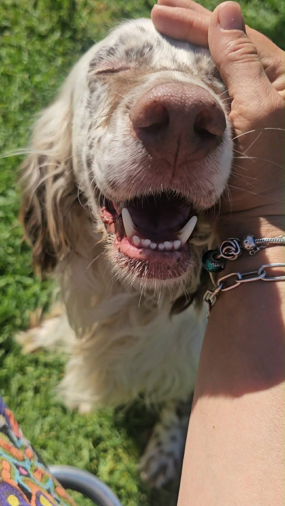 Franco