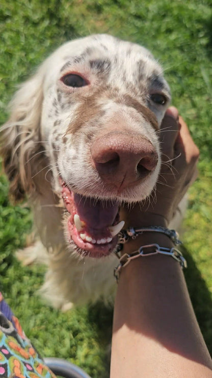 Franco