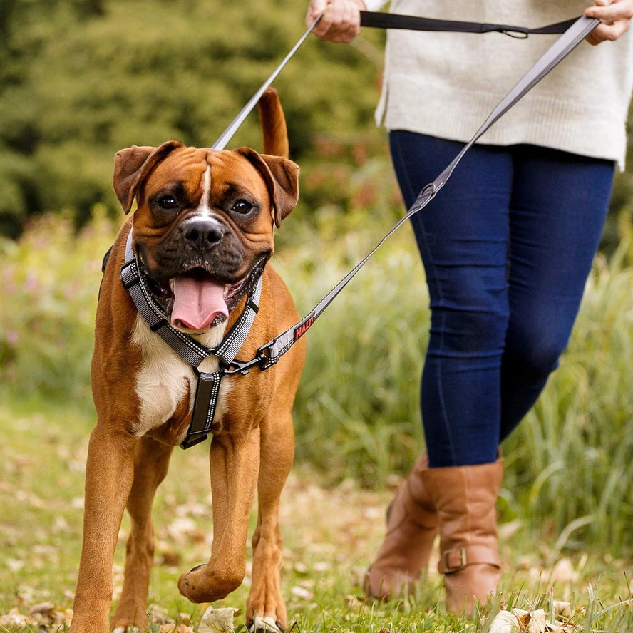 Halti Double-Ended Dog Lead (Large) - 7-in-1 Adjustable Training Lead - Black