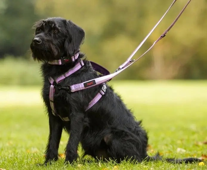 Halti Double-Ended Dog Lead (Large) - 7-in-1 Adjustable Training Lead - Black